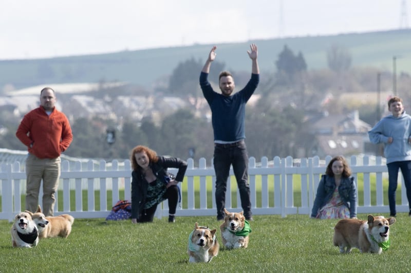 Participants take part in the Corgi Derby at Musselburgh Racecourse as part of its Easter Saturday race day celebration.
