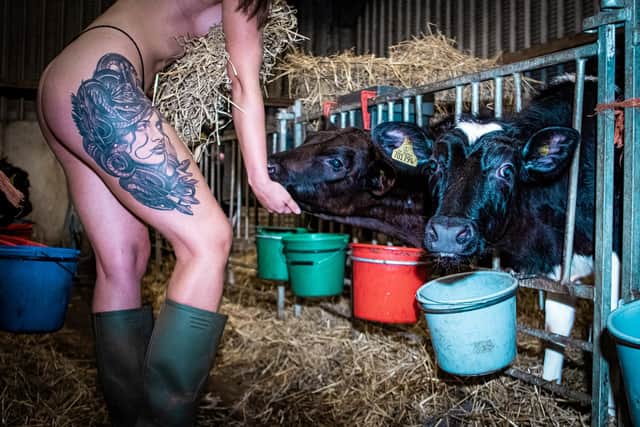Naked feeding could now become the norm on this Lothian farm.