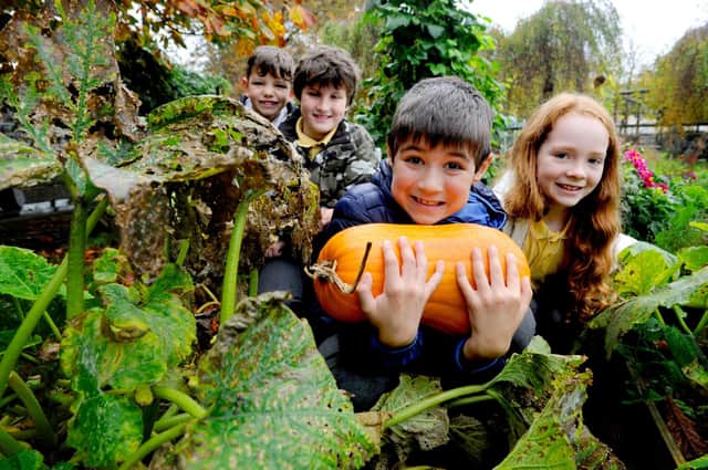 With a pumpkin grown in their eco-garden are Max Malaszuk (with pumpkin), and fellow P5 pupils (from left):  Cormac Cheape, Max Kelly and Scarlet Durkan .