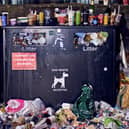 The first of Edinburgh-based photographer Euan Myles' five photos of the overflowing bins in Edinburgh during the binmen's strike in August 22, which won him gold in the Environment category at the  The Association of Photographers' 38th Photography Awards (first launched in 1984).