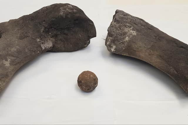 Two whale bones and a cannonball are among the latest archaeological discoveries at the Edinburgh trams construction site in Leith.