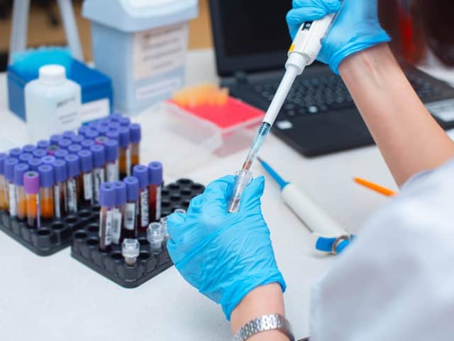 This is what you need to know about the malaria drug being trialled to treat coronavirus in the US (Photo: Shutterstock)