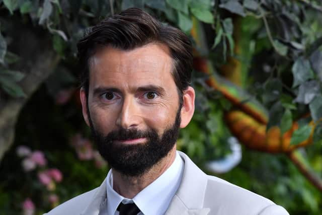 Doctor Who and Good Omens star David Tennant. Picture: Anthony Harvey/Shutterstock