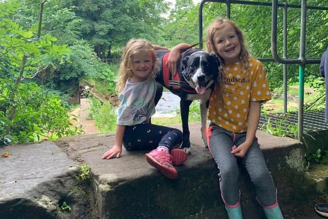 From left to right: Ella Scott, five, rescue puppy Tess and Evie Scott, nine enjoyed their daily walks during lockdown.