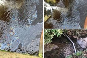 Pictures of the pollution in the River Esk. (Picture credit: Shona McIntosh)