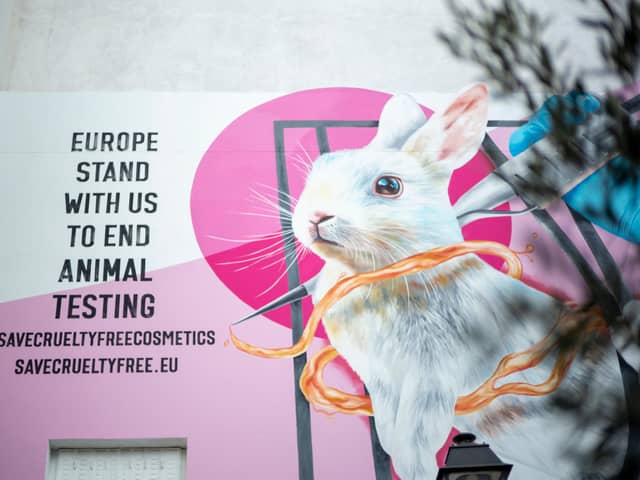 A mural in Paris urges people to campaign for the upholding of the animal testing ban in the EU (Picture: Kristy Sparow/Getty Images for Dove & The Body Shop)