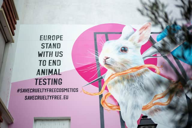 A mural in Paris urges people to campaign for the upholding of the animal testing ban in the EU (Picture: Kristy Sparow/Getty Images for Dove & The Body Shop)