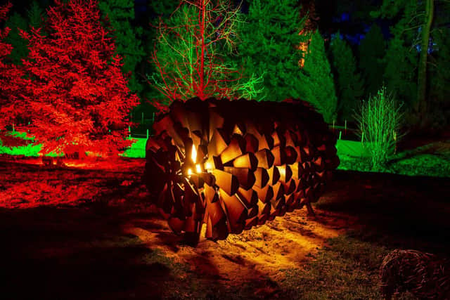 Christmas at the Botanics is one of several light shows to catch around Edinburgh in the winter months. Photo: Rikard Osterlund.