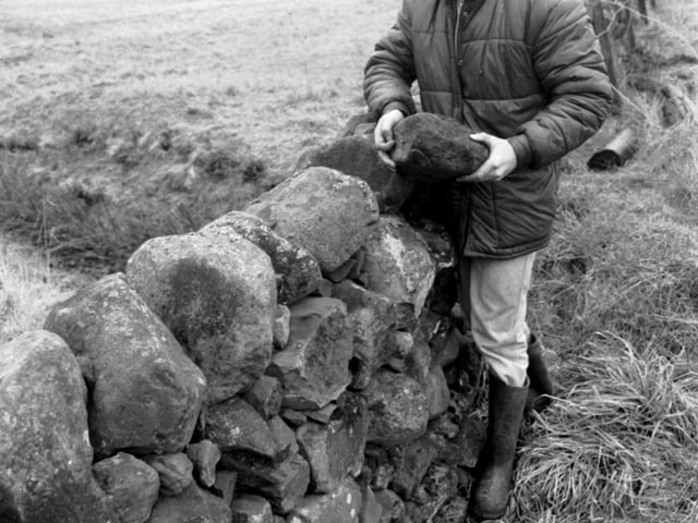 Brian Morrison repairing drystane dykes in the Pentland Hills near Edinburgh in February 1985
