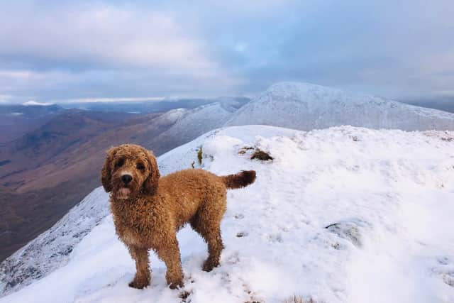 Hana loves nothing more than a day out in the hills in any weather.