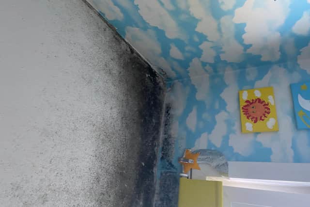 Mould pictured in the bedroom of the Edinburgh resident's four-year-old son picture: supplied