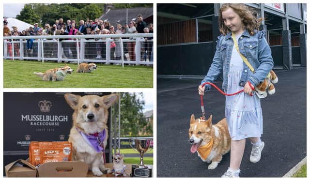 Ten dogs have taken part in the first “corgi derby” at a racecourse as part of celebrations for the Queen’s Platinum Jubilee.