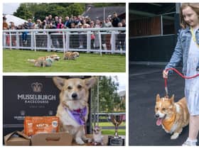 Ten dogs have taken part in the first “corgi derby” at a racecourse as part of celebrations for the Queen’s Platinum Jubilee.