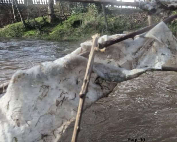 Environmental groups which monitor rivers and burns across the city say there has been an “obvious increase” in discharges of human waste in Edinburgh's waterways.
