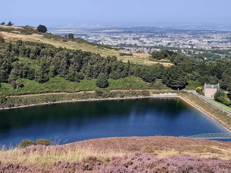 Pentland Hills ward saw 723 student flats approved since 2010, while 1372 residential homes were given permission.
Photo: Frances Bethune