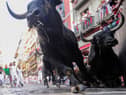Bulls fall as they are run through the streets of Pamplona, northern Spain. They were later killed in the bullring (Picture: Ander Gillenea/AFP via Getty Images)