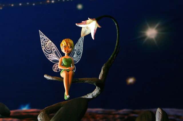 Tinkerbell is real, possibly (Picture: Carl de Souza/AFP via Getty Images)