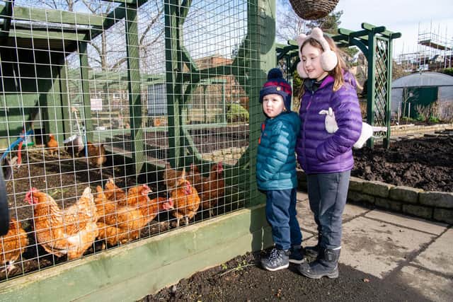 Throughout the pandemic, the farm has been a community focal point