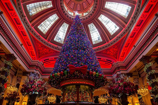 The Dome's 2020 Christmas tree