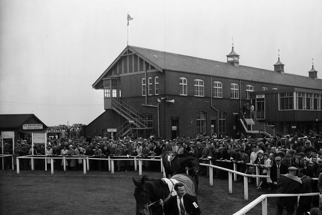 The show ring at Musselburgh Races in July 1963.