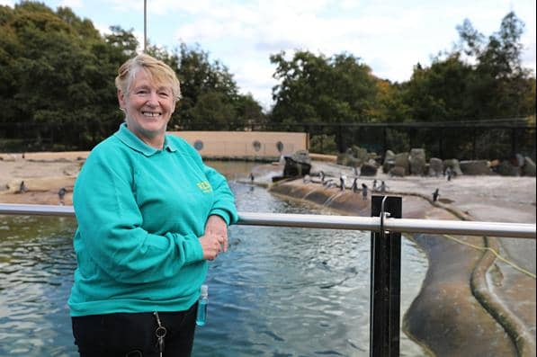 The Royal Zoological Society of Scotland's volunteering programme has re-launched and locals are invited to summer volunteer information sessions at Edinburgh Zoo.