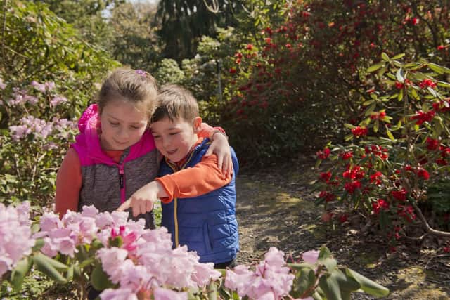 Young visitors take in their surroundings at the Royal Botanic Garden Edinburgh