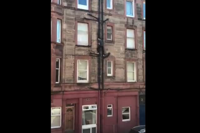 Video footage has emerged on Twitter showing a young man clambering through a second floor flat window at a property in Leith.  (Credit: @WerdSOS)