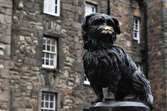 Sitting proudly in Candlemaker Row, a bronze statue of wee Greyfriar's Bobby can be found. Known as the most loyal of Edinburgh's dogs, the story goes that he sat by his owner's grave for years in Greyfriar's Kirkyard, just behind. The Kirkyard itself is worth a visit for a number of notable people are buried there - and see if you can spot any Harry Potter names.
