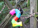 Masindi, a critically endangered Western chimpanzee who has celebrated her second birthday at Edinburgh Zoo.