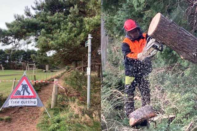 East Lothian Council countryside rangers are clearing the fallen trees along the John Muir Way at Hedderwick after Storm Arwen damage (Photo: East Lothian Council countryside rangers).