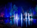 The Enchanted Forest is one of Scotland's most popular light shows. Picture: VisitScotland/Kenny Lam