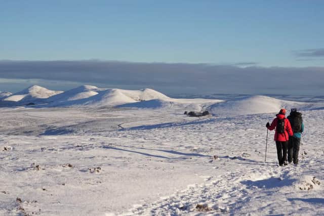 Pentland Hills: Plea for public to be responsible after pregnant sheep 'stressed' by skiers and snowboarders