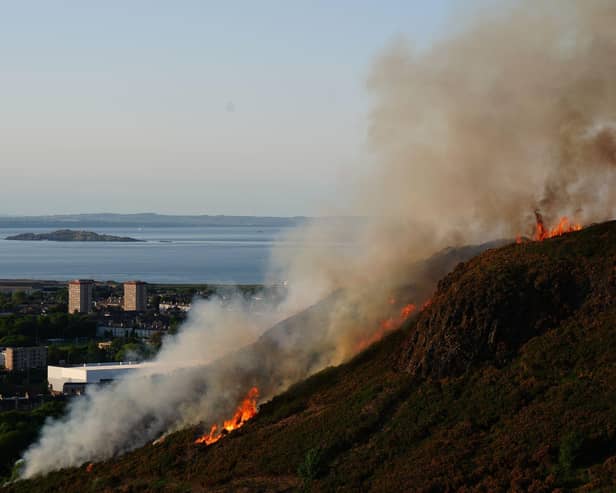 The scene of a wildfire on Arthur's Seat last month (Pic: TSPL)