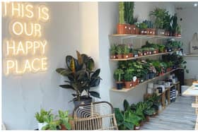 Holly Grows, on Brighton Place in Edinburgh's Portobello district, is set to close. Photo: Holly Grows