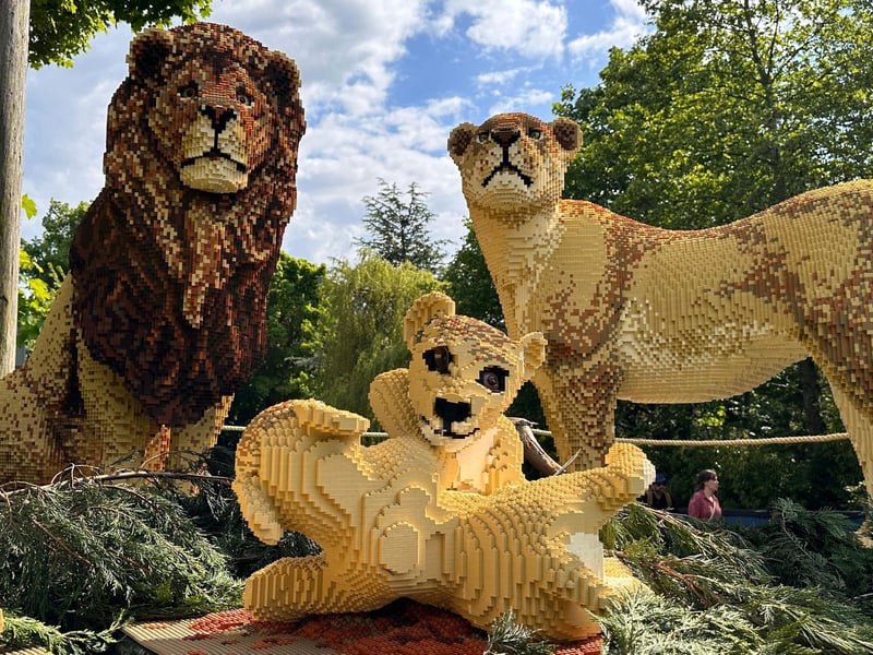 It took nine professional Lego builders 711 hours to create this incredible sculpture of a pride of lions. This stand out model was made from 119,539 bricks