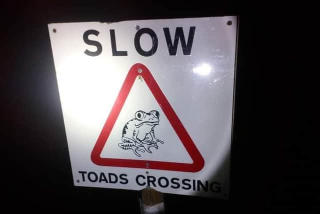 Sign urging members of the public to watch out for the toads crossing (Photo: Gary Hovell).
