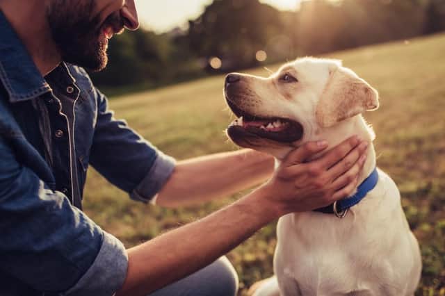 This is what you need to know about the relationship between dogs and the ongoing coronavirus (Photo: Shutterstock)