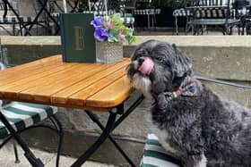 Take a look through our photo gallery to see what The Good Food Guide considers Edinburgh's best dog-friendly restaurants.