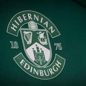 A general view of the Hibs badge before a game at Easter Road