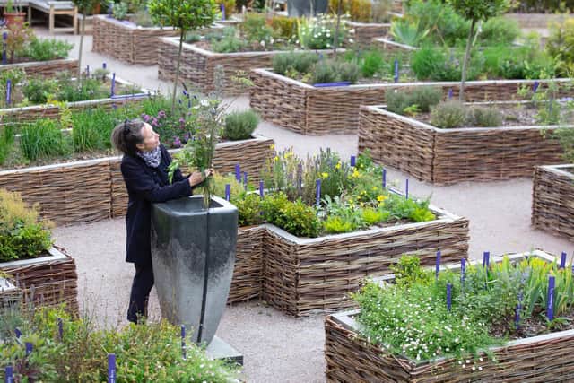 The new physic garden contains medicinal and culinary plants that would have grown in the 17th-century garden.
