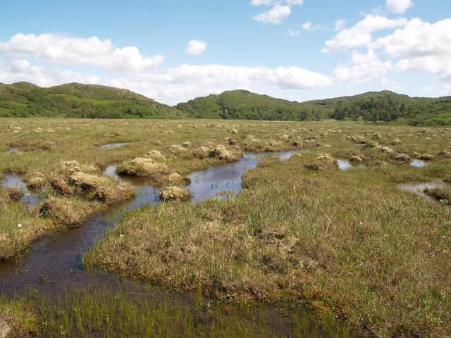 Peatlands are a vital "carbon sink", currently storing more carbon than all the world's vegetation, and research shows that they will store even more carbon in the future than was previously believed. Photo: Alex Whittle.