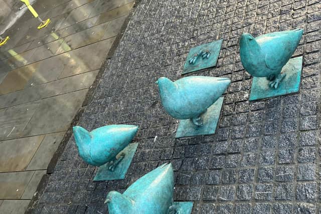 One of Edinburgh’s famous Elm Row pigeon sculptures has been stolen just months after it was reinstalled in the area. Photo: James Mackenzie