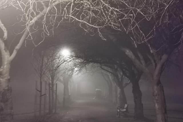 This picture of a spooky evening in Edinburgh’s mist-enshrouded Meadows was taken by reader Alex Orr. He says that there was a chill in the air and the ghosts of Burke and Hare lurking in the shadows.