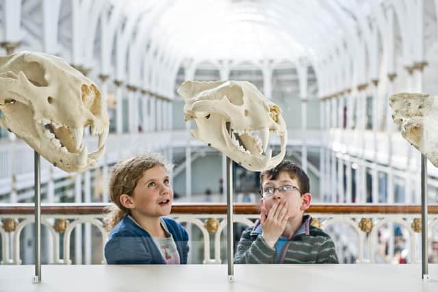 Young visitors can learn about the natural world at the National Museum of Scotland.