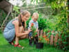 The top 10 gardening jobs to do in September