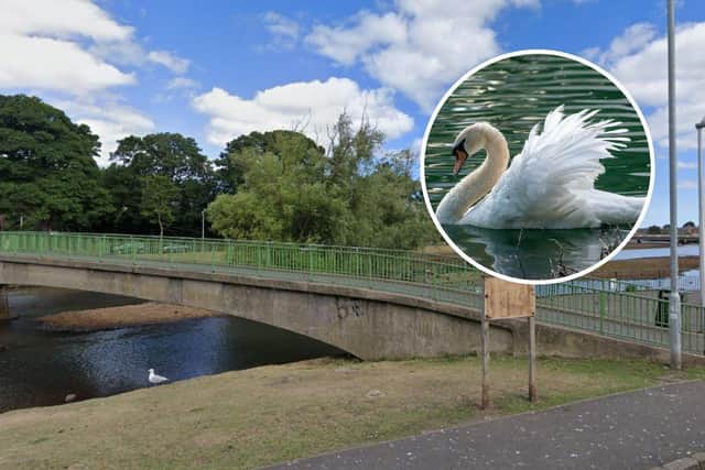 East Lothian police carried out enquiries after reports of a potential swan poaching incident in Musselburgh. (Photo credit: Google Maps/Robert Woeger)