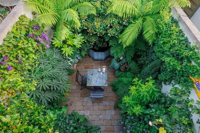 Clive’s jungle-themed garden features a range of semi tropical plants creating a tranquil oasis in the heart of the city. Judges noted that every plant in the garden was in perfect health when awarding him first place. As well as winning a trophy Clive also won a holiday in Italy