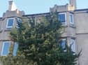 Ivy has 'taken over' flats on Lochend Road South