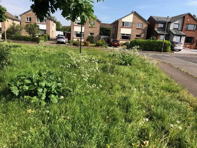 Families say their grass hasn't been cut in months despite paying for service