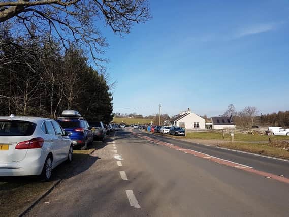 Dozens of cars were parked up along the verge at the Pentland Hills.  Pic: Pentland Hills Regional Park